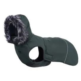 Rukka Frostbiter Parka Coat for Dogs in Forest