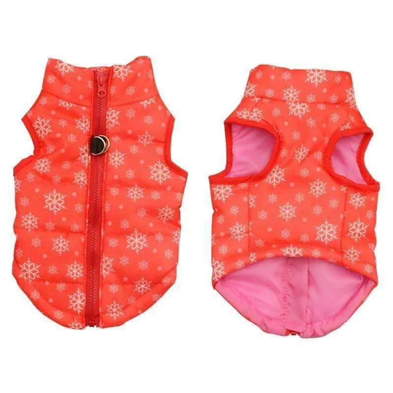 Small Dog Soft Padded Vest & Harness