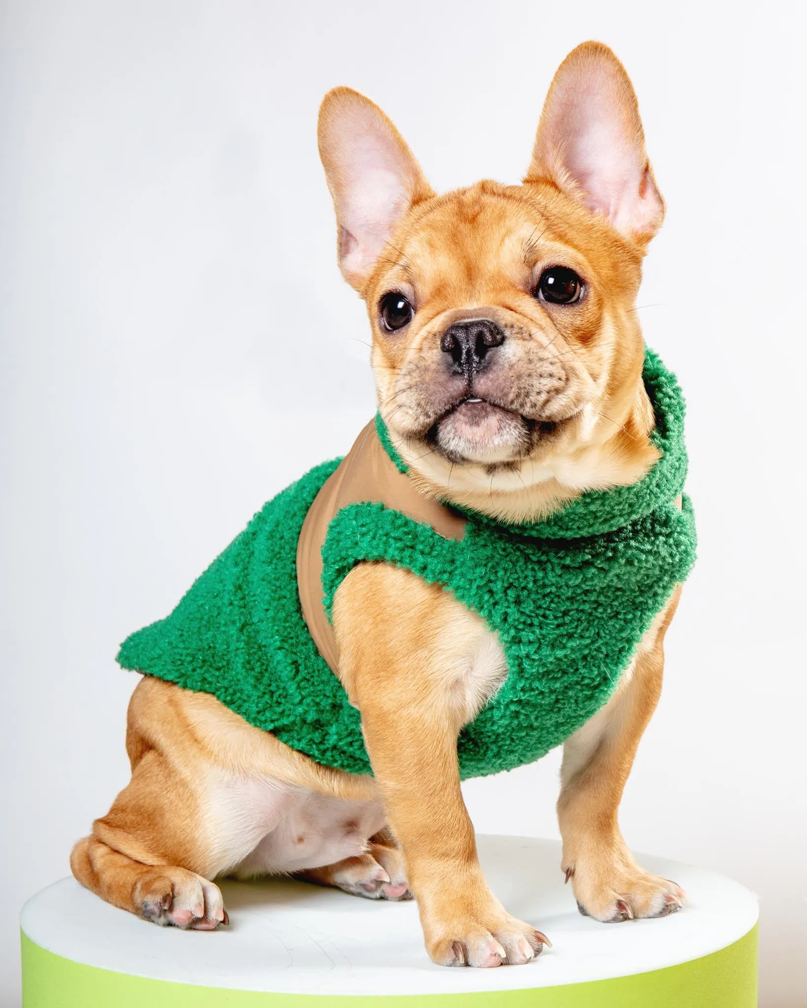 Zip-Up Sherpa Harness Vest in Forest Green